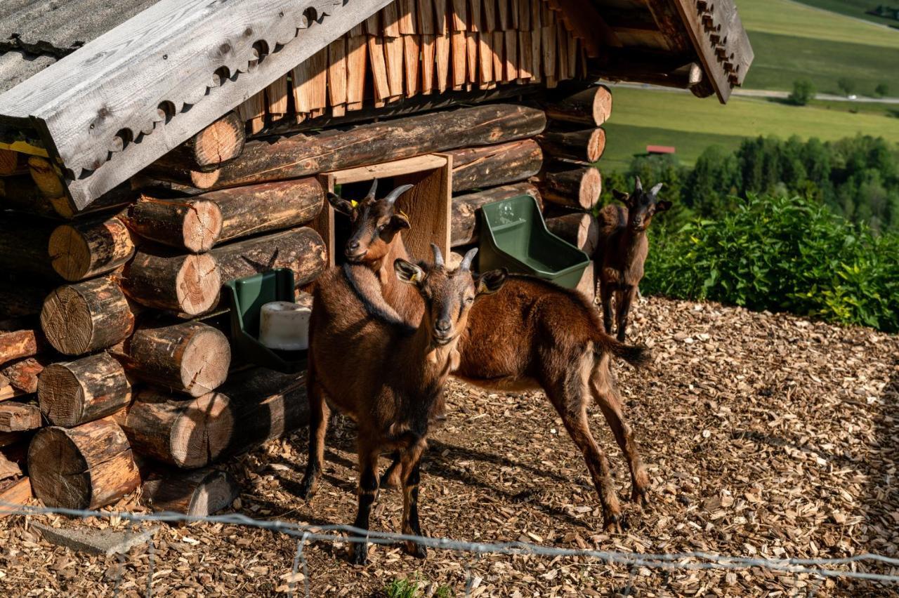 Panoramahotel Stocker Pruggern Exteriör bild